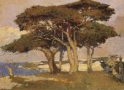 Monterey Cypress Arthur Mathews